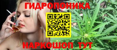 PSILOCYBIN Нальчик